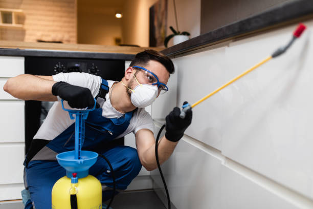 Best Termite Control Services  in Meadowlakes, TX