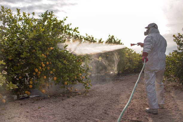Best Wildlife Control Services  in Meadowlakes, TX