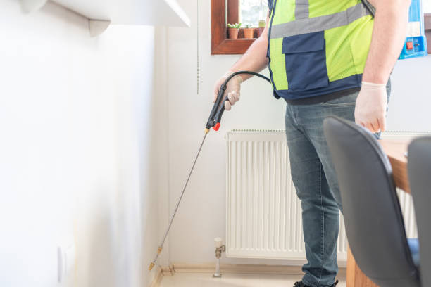 Best Emergency Pest Control  in Meadowlakes, TX