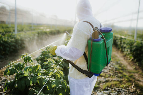 Best Exterminator Services  in Meadowlakes, TX